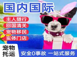 深圳宝安机场物流国际宠物托运 【国